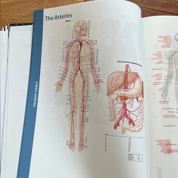 Human Body textbook - Picture 5 of 11